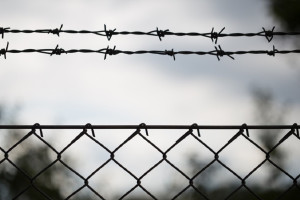 Житель Владимирской области избил мать из-за 80 тыс. рублей