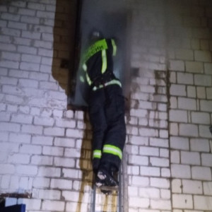 Во Владимирской области загорелся грибной цех