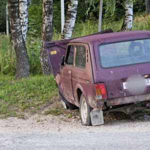 В Коврове пьяный водитель спровоцировал погоню со стрельбой и угрожал ножом полицейским