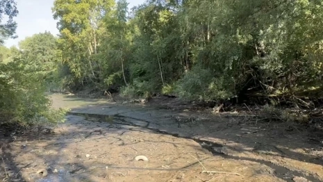 В парке у ДТЮ во Владимире началось осушение прудов