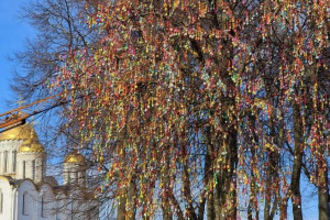 Во Владимире в 2026 году расцветет «Пасхальное дерево»