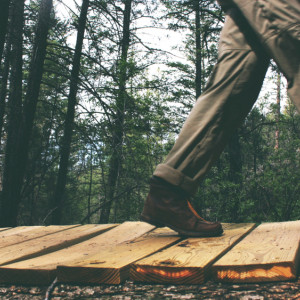 Во Владимирской области нашли пропавших в лесу грибников