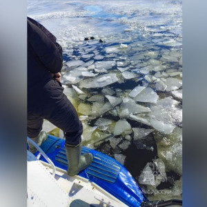 Появились фото с места гибели владимирских экс-чиновников на Волге под Нижним Новгородом