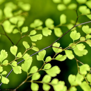 Во Владимире потеплеет до +12