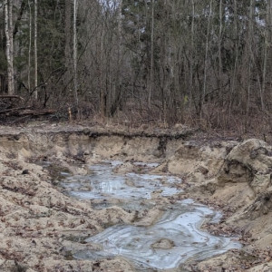В Судогде повредили почву на особо охраняемой территории при раскопке траншеи