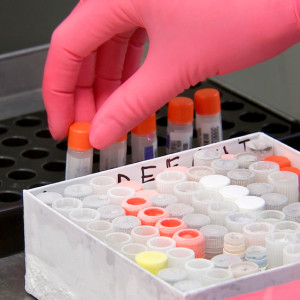 Впервые с весны прирост заболевших ковидом владимирцев составил 275 человек