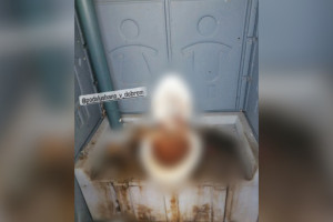 Владимирские водители автобусов пожаловались на отвратительный туалет