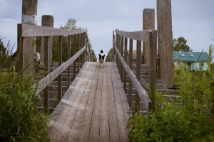 Во Владимирской области пять деревень будут бороться за грант в 250 тысяч
