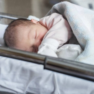 В мае во Владимирской области появились на свет 670 малышей