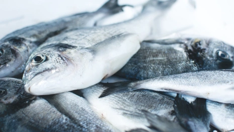 Два браконьера из Владимира попались на ловле рыбы электротоком