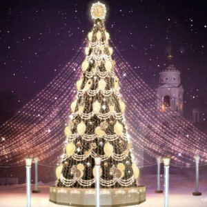 Новогоднюю ель на Соборной площади во Владимире установят до 15 декабря