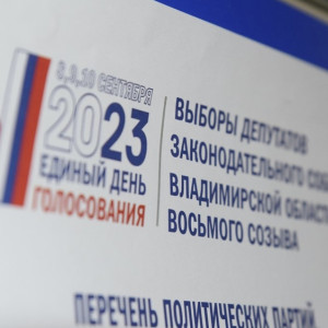 Владимирская область оказалась на 5 месте по явке на электронное голосование