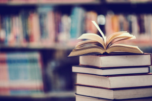 Во Владимире оцифруют 34 уникальные книги