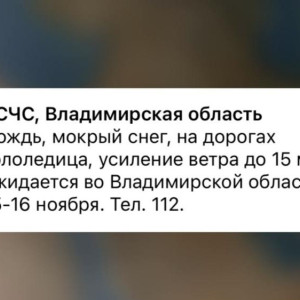 МЧС предупредило владимирцев о мокром снеге и гололедице 15 и 16 ноября