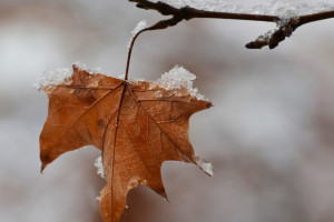 Синоптики пообещали снег с дождем на рабочей неделе во Владимирской области