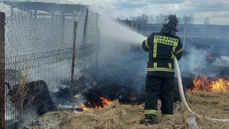 В деревне под Александровом пожар охватил 100 квадратов сухой травы
