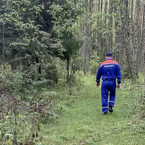 Во Владимирской области нашли труп человека в болоте