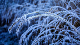 Во Владимирской области ударят 16-градусные морозы