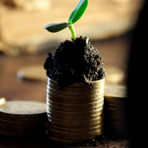 Во Владимирской области средняя зарплата взлетела до 43 тысяч рублей