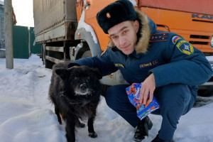В Судогде спасенному из полыньи псу нашли хозяина