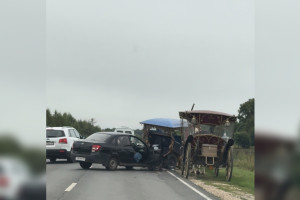 В Суздале легковушка въехала в гужевую повозку