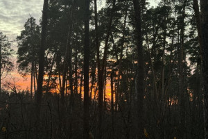 Опасность атаки БПЛА объявили во Владимирской области