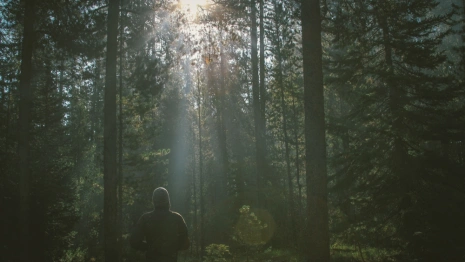 Во Владимире нашли пропавшего 1,5 недели назад мужчину в клетчатой рубашке