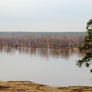 Клязьма во Владимирской области поднялась на 32 см