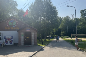 Жители Владимира начали собирать подписи против строительства дороги в парке «Дружба»