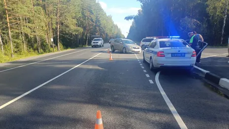 За неделю во Владимирской области поймали 84 пьяных водителей