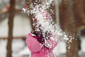 Во Владимирской области прошедшая зима стала самой снежной