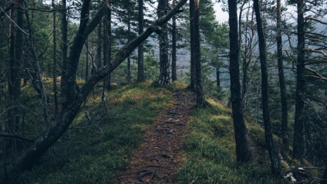 Пропавшего во Владимире 20-летнего парня в черно-красной толстовке нашли живым