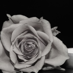 В зоне СВО погиб 23-летний парень из Гусь-Хрустального