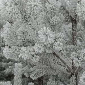 Прогноз погоды во Владимирской области на 20 февраля 2026 года