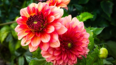 Прогноз погоды во Владимирской области на 2 августа