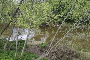 Утонувшему в Колокше под Собинкой рыбаку было 66 лет