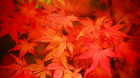 Прогноз во Владимирской области на 27 сентября