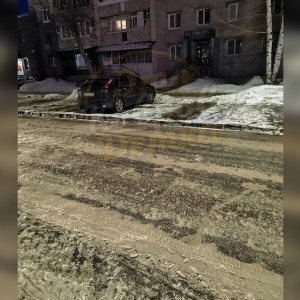 Ковровские коммунальщики услышали просьбу дворника после четвертой жалобы Путину