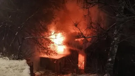Спасатели рассказали о перекрывшем въезд в Боголюбово пожаре
