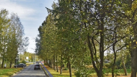 Во Владимире вернулись к вопросу расширения и благоустройства бульвара Художника Иванова