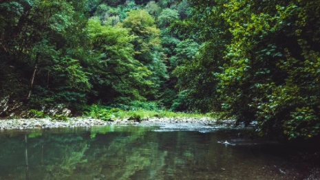Во Владимире установили личность найденного мертвым у ДТЮ мужчины 