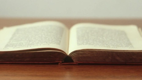 Исследование: Остап Бендер – самый известный финансовый «гений» русской классики