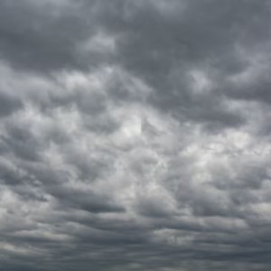 Во Владимирской области спрогнозировали ураган 17-24 м/с