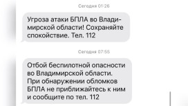 Владимирцам запретили приближаться к обломкам БПЛА после угрозы атаки 12 февраля