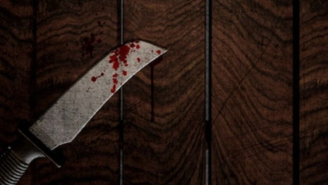 Во Владимирской области мужчина изрезал мужа сестры
