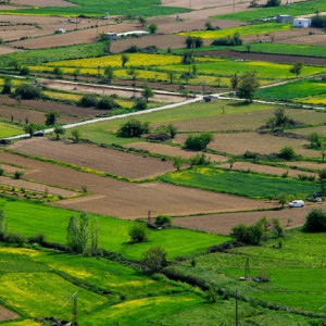 Во Владимирской области чиновники подведут газ и воду к участку многодетных  