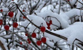 Прогноз погоды во Владимирской области на 27 февраля 2026 года