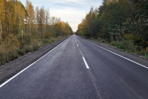 Во Владимирской области новый асфальт уложат на 137 км сельских дорог