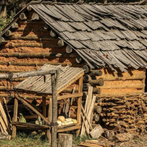 Во Владимирской области 13 многодетным семьям выдали участки без газа и воды