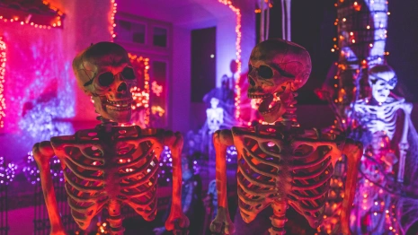 От злобных тыкв до разговоров о любви. Как провести выходные во Владимире